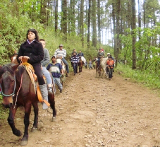  Passeggiate a cavallo nel santuario 
